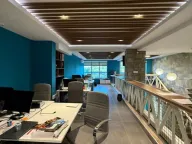 Izdavanje, poslovni prostor, 245m², Krivi Most, Podgorica - image 3