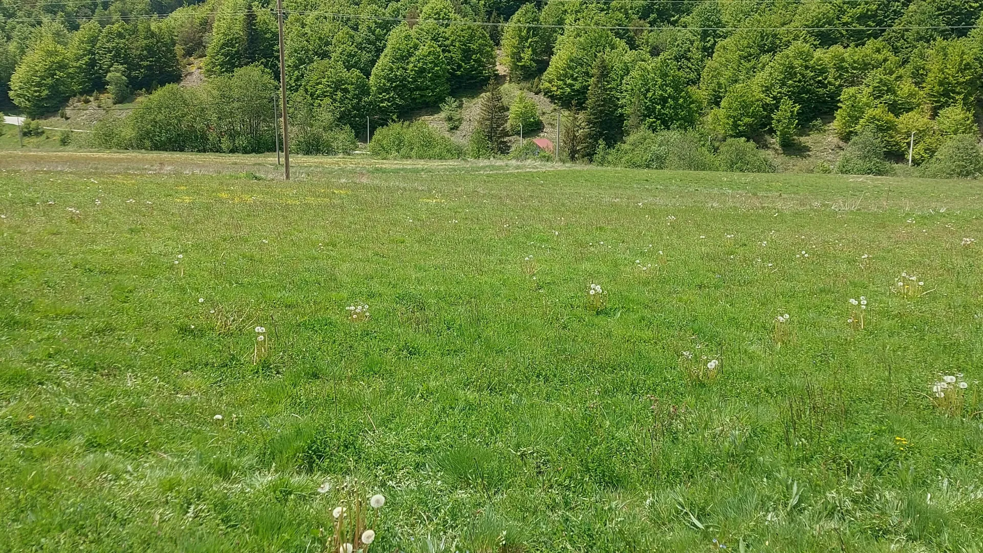 Prodaja, plac, 7000m², Veruša, Podgorica