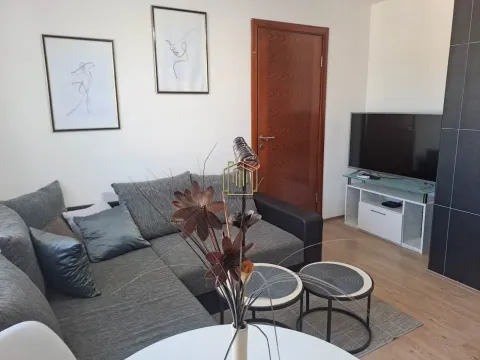 Izdavanje, jednosoban stan, 45m², Podgorica, Crna Gora - image 5