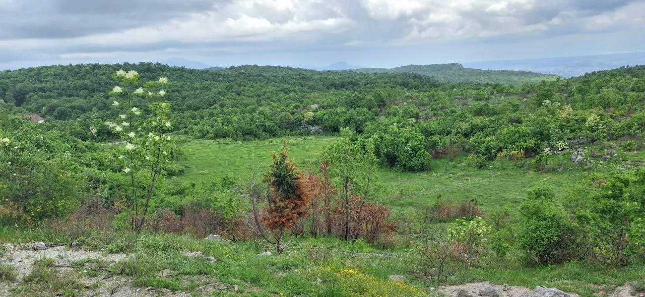 Prodaja, plac, 12650m², Gorica C, Podgorica