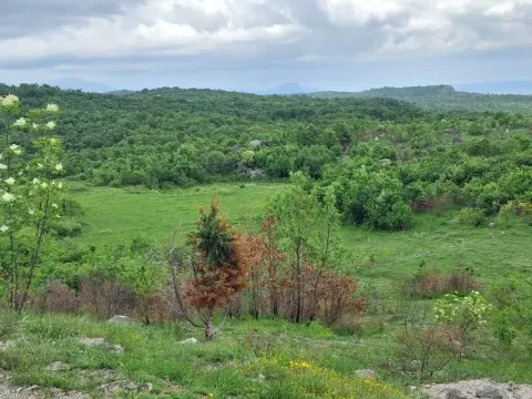 Prodaja, plac, 12650m², Gorica C, Podgorica - image 5