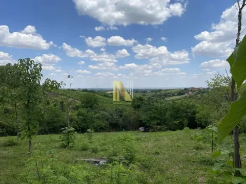 Sale, land lot, 5347m², Sremski Karlovci, Novi Sad - image 3