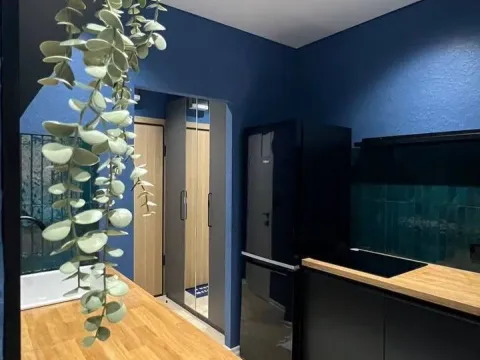 Sale, one bedroom apartment, 33m², Golubovina, Budva - image 3