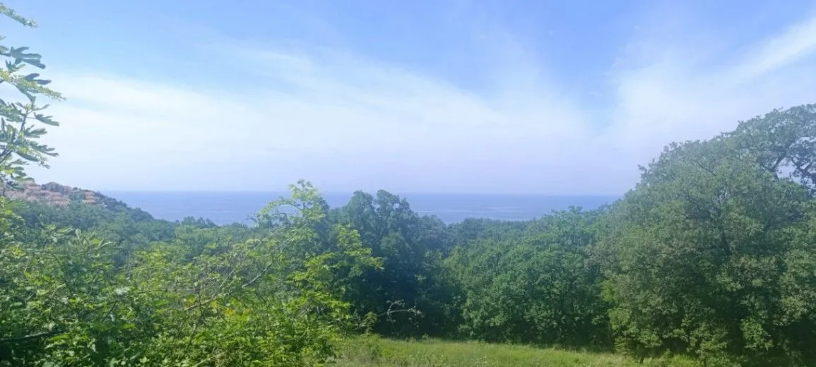 Sale, land lot, 613m², Tudorovići, Budva