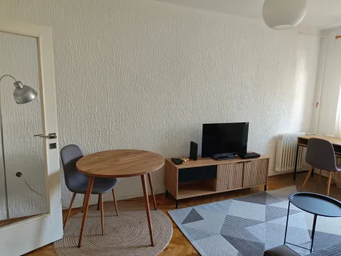 Izdavanje, dvosoban stan, 46m², Stari grad, Novi Sad - image 4