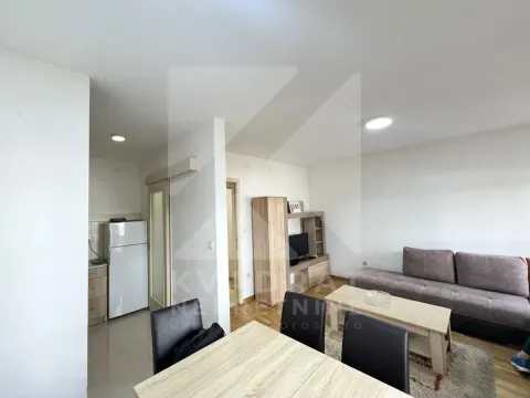 Izdavanje, jednosoban stan, 65m², Zagorič, Podgorica - image 3
