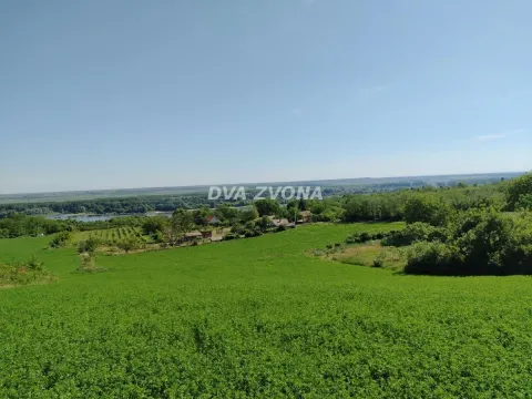 Prodaja, plac, 4300m², Novi Slankamen, Inđija - image 5