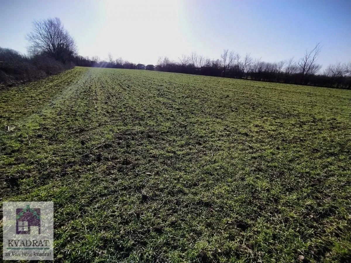 Prodaja, plac, 13000m², Piroman, Obrenovac