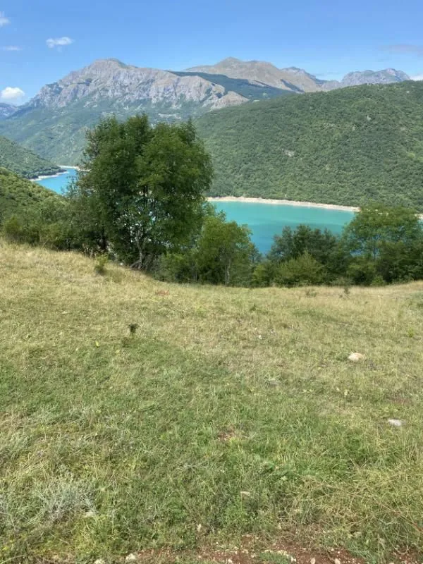 Prodaja, plac, 17000m², Plužine, Crna Gora