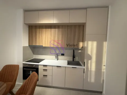 Rent, one bedroom apartment, 38m², Zabjelo, Podgorica - image 2