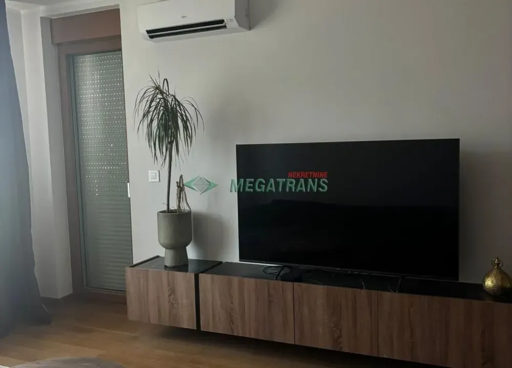 Izdavanje, dvosoban stan, 50m², Tošin bunar, Novi Beograd Sve Podlokacije