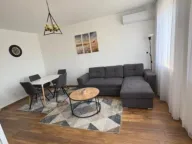 Izdavanje, jednosoban stan, 45m², Stari Aerodrom, Podgorica - image 5