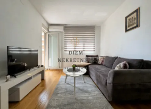 Izdavanje, jednosoban stan, 50m², Central Point, Podgorica