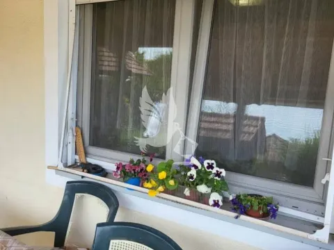 Sale, house, 91m², Centar Sve Podlokacije, Beograd - image 8