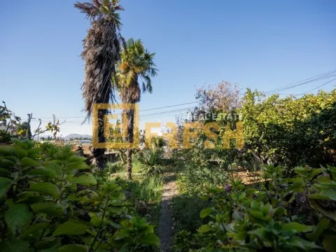 Sale, house, 348m², Stara Varoš, Podgorica - image 16