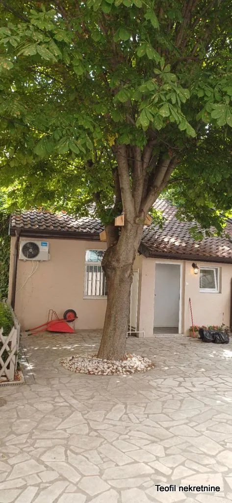 Rent, one bedroom apartment, 40m², Vračar Hram, Vračar Sve Podlokacije
