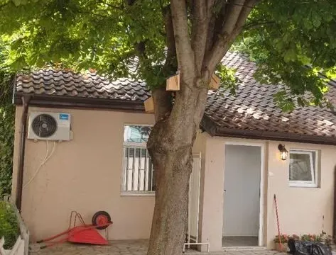 Rent, one bedroom apartment, 40m², Vračar Hram, Vračar Sve Podlokacije - image 18