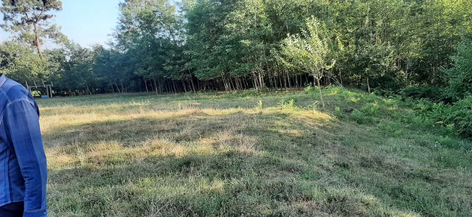 Prodaja, plac, 9192m², Danilovgrad, Crna Gora