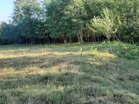 Prodaja, plac, 9192m², Danilovgrad, Crna Gora - image 3