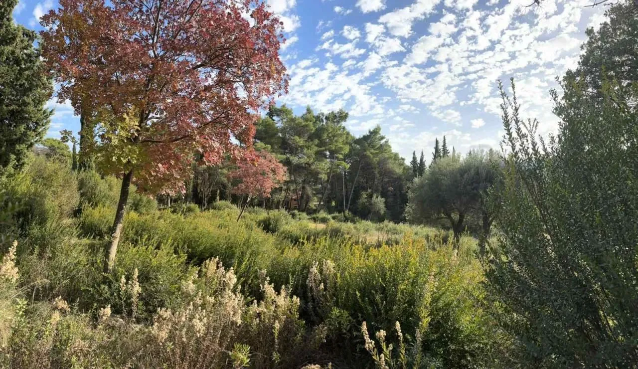 Prodaja, plac, 1334m², Sušćepan, Herceg Novi