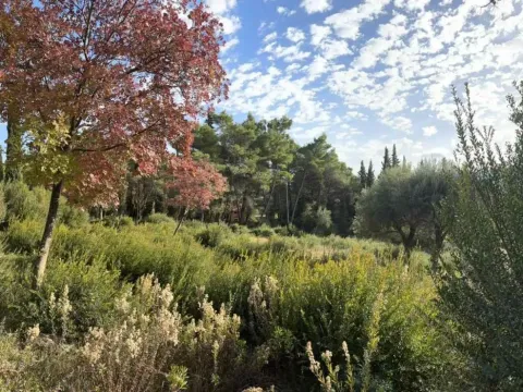 Prodaja, plac, 1334m², Sušćepan, Herceg Novi - image 4