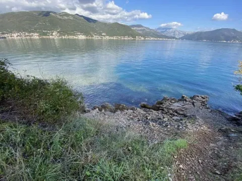 Prodaja, plac, 9900m², Zabrđe, Herceg Novi