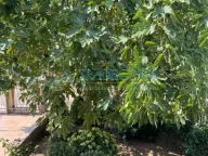 Prodaja, kuća, 180m², Dobra Voda, Budva - image 12