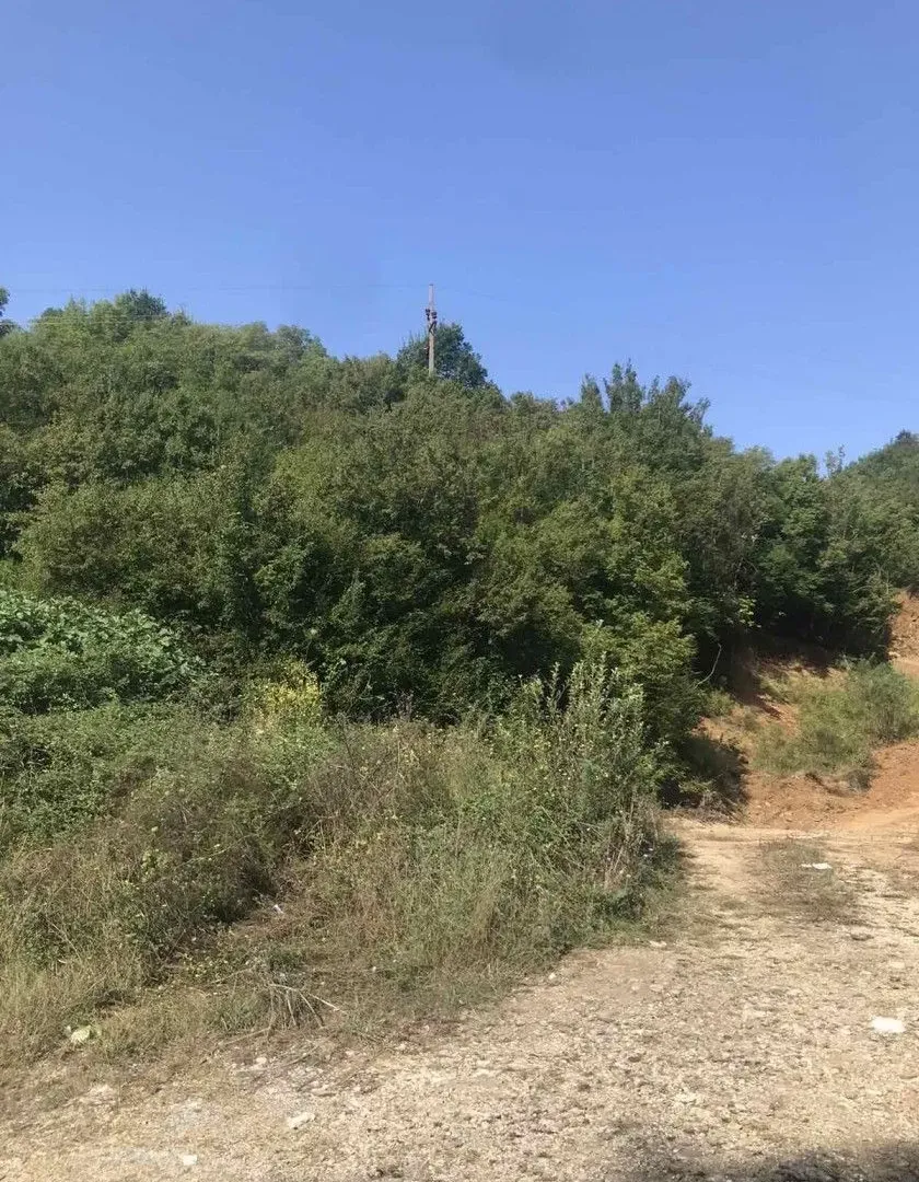 Prodaja, plac, 13946m², Kotor, Crna Gora