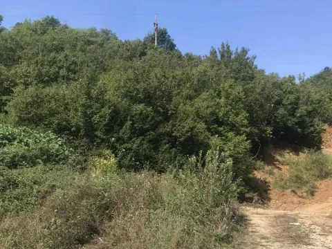 Prodaja, plac, 13946m², Kotor, Crna Gora - image 3