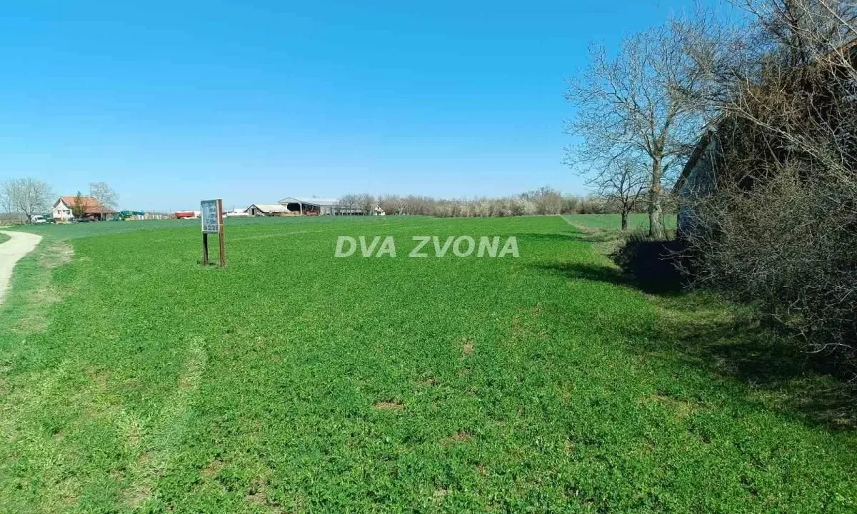 Sale, land lot, 5100m², Centar, Inđija