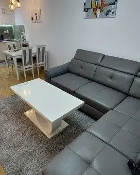 Izdavanje, jednosoban stan, 43m², Zabjelo, Podgorica - image 6