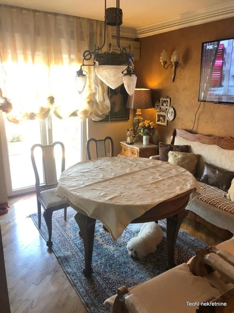 Izdavanje, dvosoban stan, 55m², Profesorska Kolonija, Palilula Sve Podlokacije