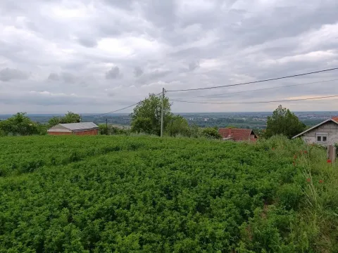 Prodaja, plac, 1100m², Beočin, Srbija - image 24