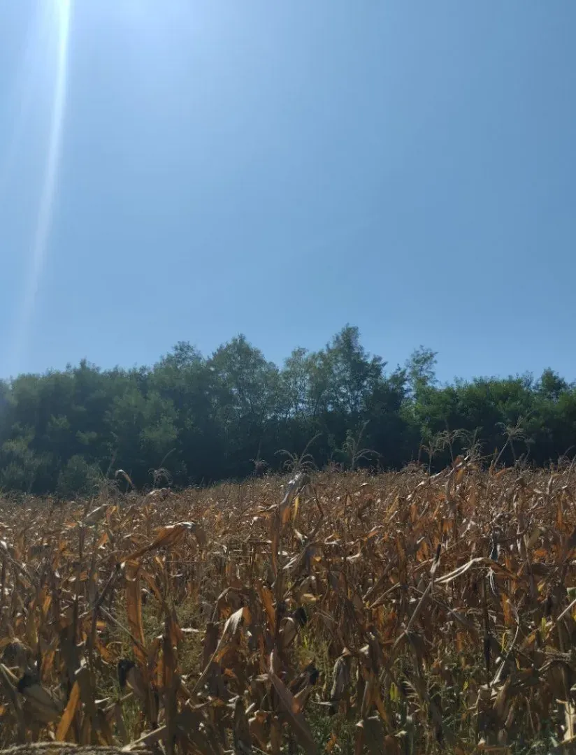 Prodaja, plac, 13532m², Mala Ivanča, Sopot