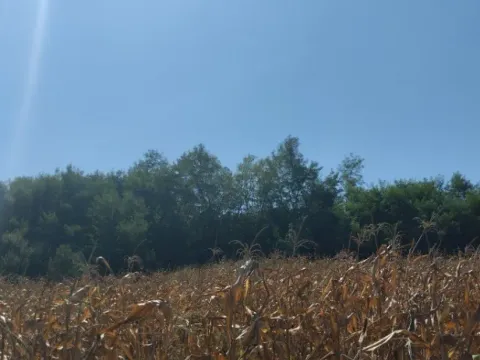 Prodaja, plac, 13532m², Mala Ivanča, Sopot - image 4