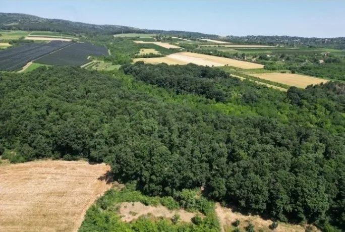 Prodaja, plac, 1576m², Irig, Srbija