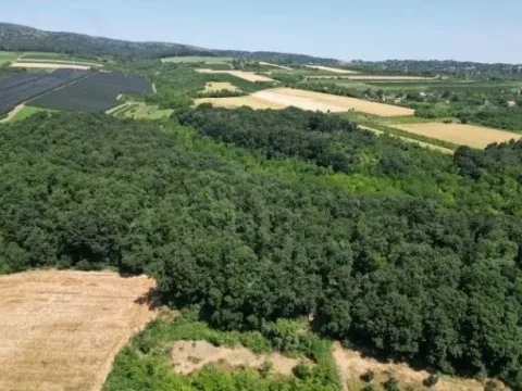 Sale, land lot, 1576m², Irig, Srbija - image 9