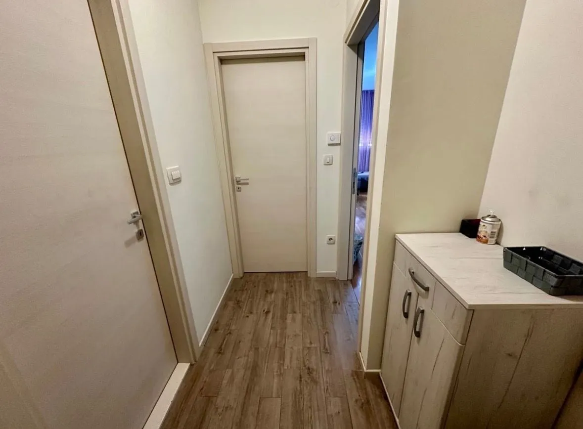 Rent, one bedroom apartment, 43m², Zagorič, Podgorica