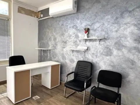 Izdavanje, poslovni prostor, 38m², Ljubović, Podgorica - image 2