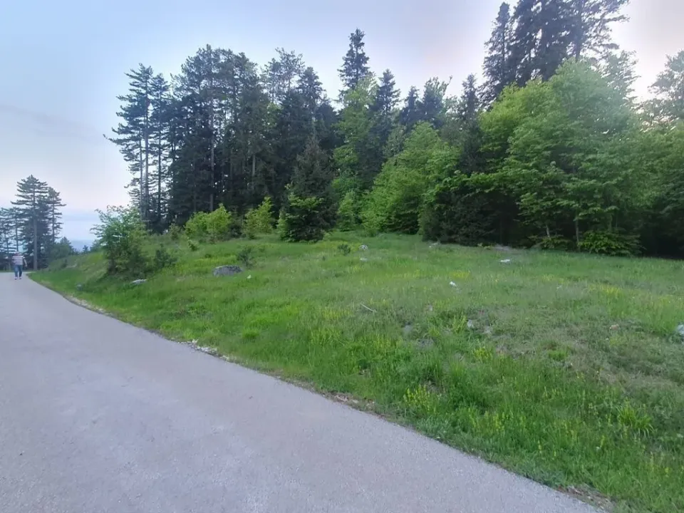 Prodaja, plac, 1130m², Centar, Zlatibor