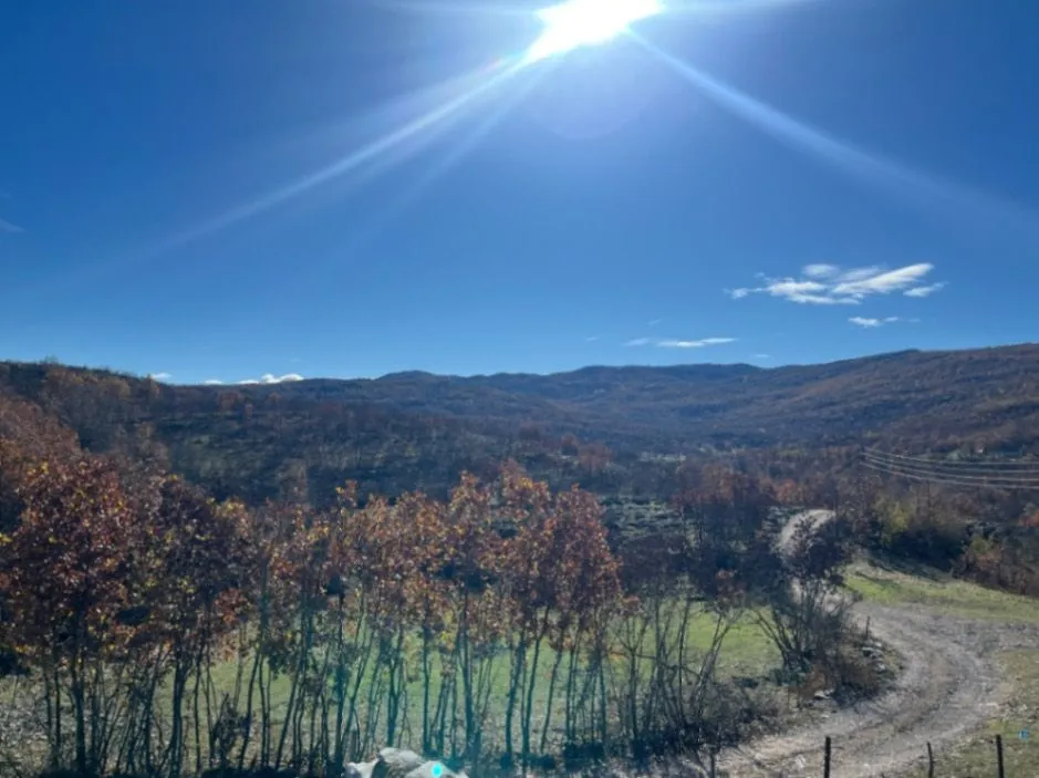 Prodaja, plac, 253100m², Nikšić, Crna Gora