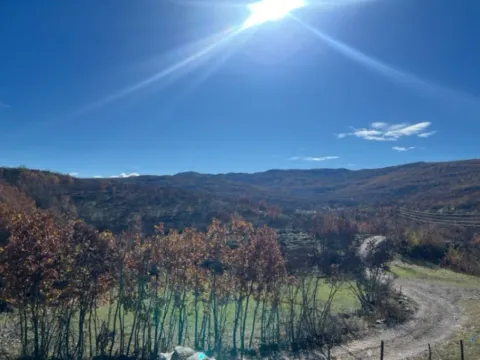 Prodaja, plac, 253100m², Nikšić, Crna Gora