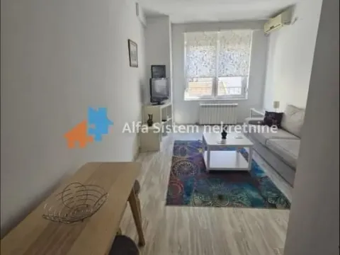 Izdavanje, dvosoban stan, 48m², Vračar Hram, Vračar Sve Podlokacije - image 2