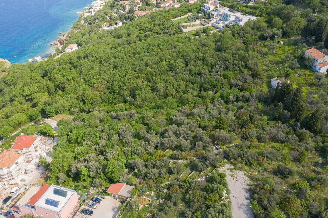 Prodaja, plac, 2100m², Skočiđevojka, Budva