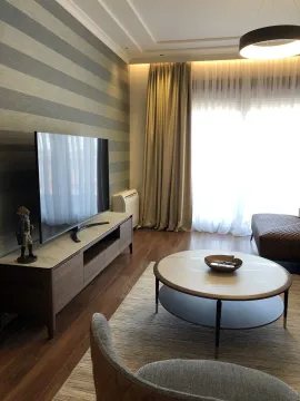 Bright living room with modern furniture and a TV. - image 6