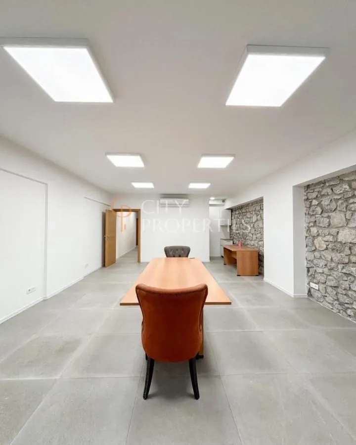 Izdavanje, poslovni prostor, 120m², Centar, Podgorica