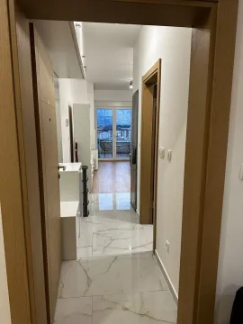 Izdavanje, garsonjera, 29m², Dubovica, Budva - image 5