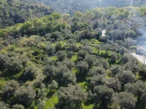 Sale, land lot, 1560m², Bartula, Bar - image 4