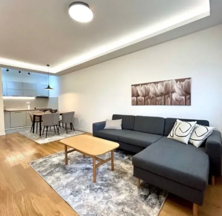 Izdavanje, dvosoban stan, 70m², Central Point, Podgorica