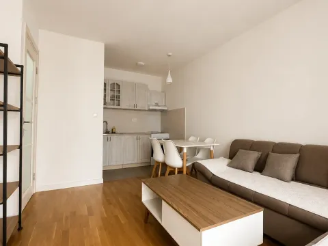 Izdavanje, jednosoban stan, 41m², Zabjelo, Podgorica - image 2